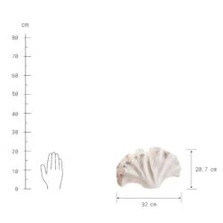 Deko-Objekt Blatt Höhe 21cm GINKGO In Creme -Einrichtungsgeschäft butlers deko objekt blatt hohe 21cm ginkgo in creme 3