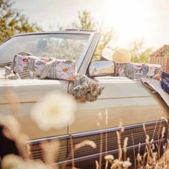 Picknickdecke L 175 X B 154cm BETWEEN FLOWERS In Creme -Einrichtungsgeschäft butlers picknickdecke l 175 x b 154cm between flowers in creme 11